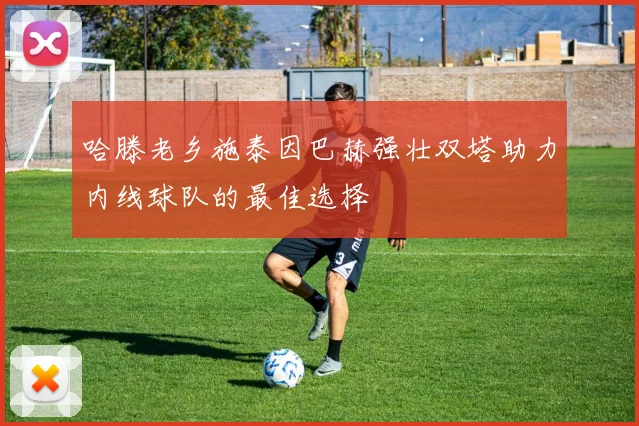 哈滕老乡施泰因巴赫强壮双塔助力内线球队的最佳选择